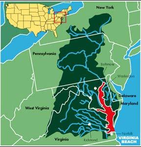 The Chesapeake Bay Chesapeake Bay largest estuary in the US Pollutants: Excess nitrogen and phosphorus From 3 major sources: Consequence of increased nutrients