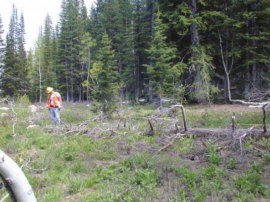 Phase two plots were sampled using the mapped-plot design (see next section). There were 391 field plots on the Shoshone National Forest, 14 of which were determined to be hazardous or inaccessible.