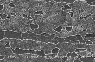 ferrite (SEM). The microstructure of the specimens after hot rolling is shown in Fig. 4. The grain boundaries were well defined by ferrite formation within the martensitic matrix.