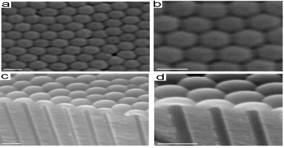 Effect of the elimination of the barrier layer period... 745 Fig. 6. SEM images of a bottom surface of anodic aluminium oxide (AAO) with the barrier film before pore opening.