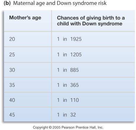 Down syndrome results in mental retardation, facial abnormalities, susceptible to certain cancers and Alzheimer s Sex Chromosome