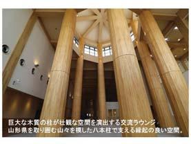 12,413 m 3 (46% of sugi wood produced from forests in Nanyo City),