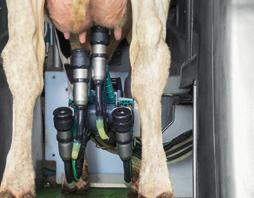 Milk sensors ensure the utmost in animal health and milk quality The DairyProQ incorporates key sensors to constantly analyze