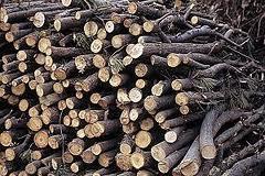 Firewood, charcoal, briquettes Biogas, syngas (gasification)