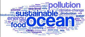 WHAT IS SUSTAINABLE SHIPPING? Sustainable Shipping Regulatory compliance? Corporate philosophy?