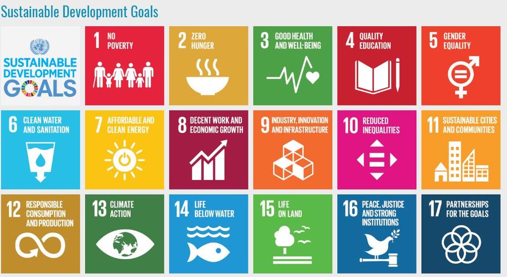 SUSTAINABLE DEVELOPMENT- UN S GOALS Plan of Action for People, Planet & Prosperity 17