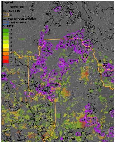 Figure 2. Intensity of MPB attack from the forest cover layer Staff used the two map sources to identify those forest polygons that had been beetle attacked and remained unharvested.