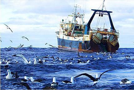 European Maritime and Fisheries Fund Suported activities Sea Fishing protection and