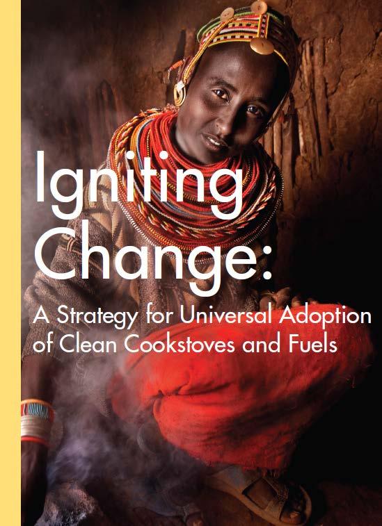 The Alliance convened the sector to develop a cohesive strategy to ignite change.