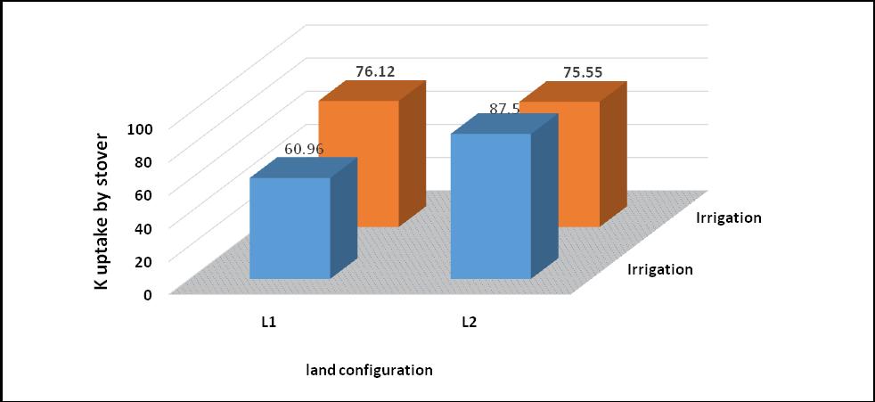 Fig.4 P uptake (kg/ha) in seed influenced by interactive effect of land configuration and irrigation CD= 0.43 Fig.