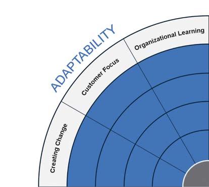 ADAPTABILITY CANVAS ADAPTABILITY High performing organizations go beyond responsiveness and proactively look for new and improved ways to do work.