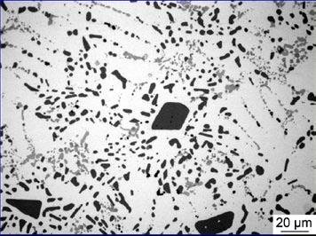 2.2 Eutectic Si The morphology change of the eutectic Si is obvious after solution treatment. The plate-like eutectic Si in as-cast case [shown in Fig. 1] was broken into small particles.
