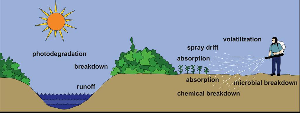 Environmental Fate When a pesticide is released into the environment many things happen to it. Some of the pesticide reaches the target.