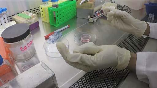 Video 6: Removing Medium from a 3D Cell Culture Vessel