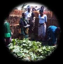 Agriculture-nutrition linkages in Malawi - 1 Agriculture Sector Wide Approach (ASWAP): FS & risk management (incl.