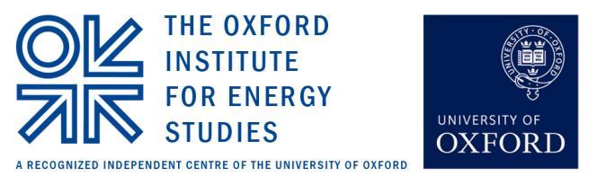 Oxford Energy and Environment Brief January 2011 What to do now?