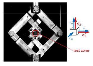 6 Biaxial Test setup and Analysis of Specimen A volumetric test setup like this compresses a cylindrical elastomer specimen constrained in a stiff fixture.