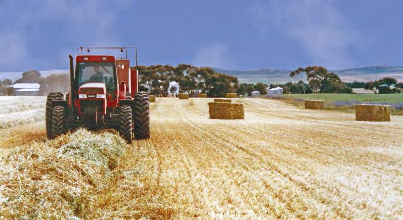 A trial agricultural competitiveness index Having identified potential advantages and disadvantages of a competitiveness index as a policy tool, the research proceeded to test its applicability to