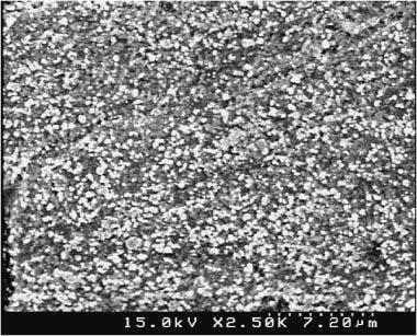 3 DSC scans of mechanically alloyed Ti 50 Cu 28 Ni 15 Sn 7 and composite powders after 18 ks milling. (a) (b) Fig.