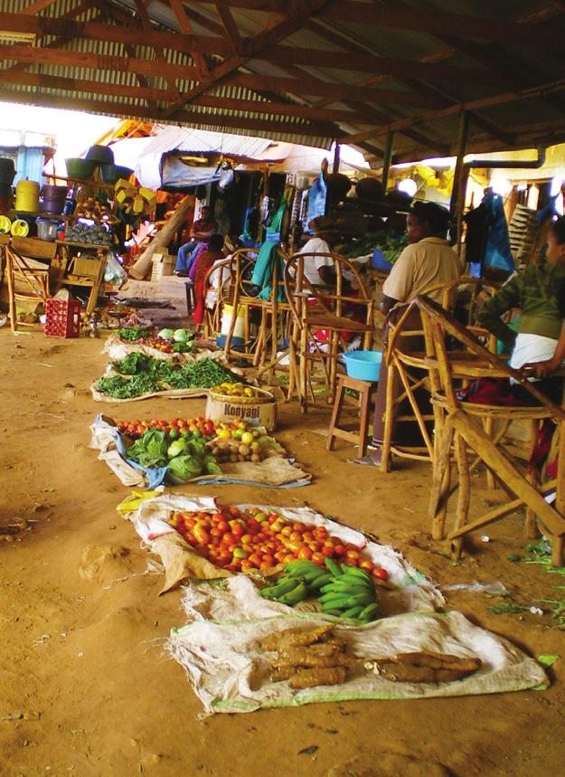 Food Safety and Nutrition Wild foods help to reach food and nutrition security 146 different edible plant and 148 edible animal species were documented in the project area in Benin, showing the