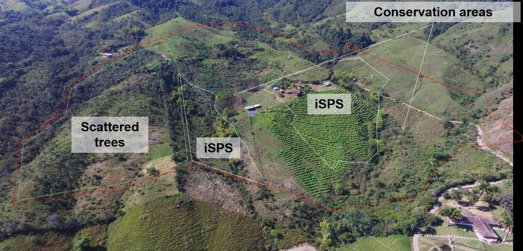 3. Examples of current work Mainstreaming Sustainable Cattle Ranching Project in Colombia Global Environmental Facility (GEF) funding $7 million + BEIS (UK) Additional Financing $ 20.