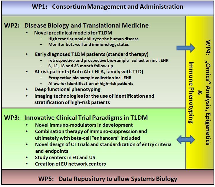 Translational Approaches To T1DM: Suggested Work Plan To be included: A plan for interactions with Regulatory Agencies/Health Technology Assessment bodies with relevant