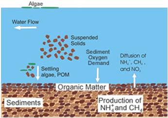 Sediment Sediment Excessive sediments and insufficient sediments both can adversely affect aquatic biota and lead to biological impairment.