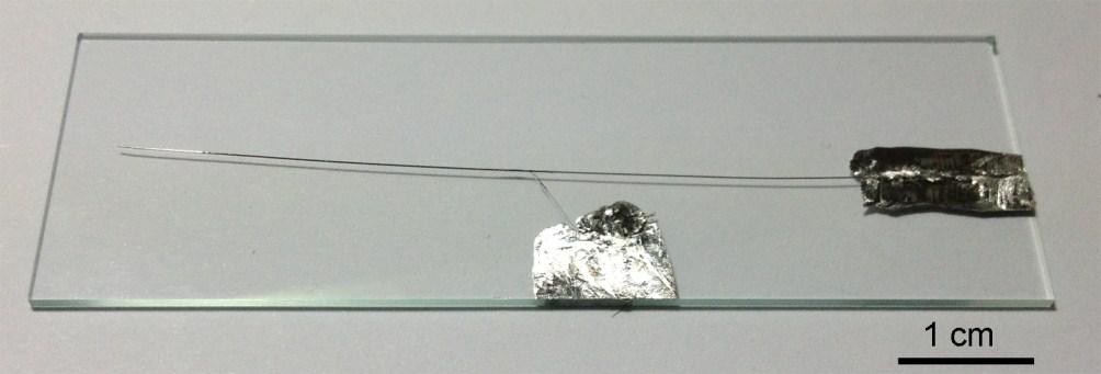 Figure S14. Photograph of a fibre-shaped PLEC.
