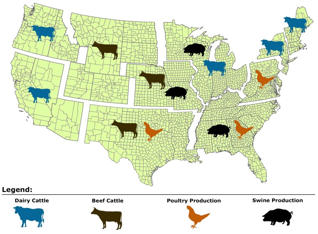 Primary Sources of Ammonia Emissions for Animal