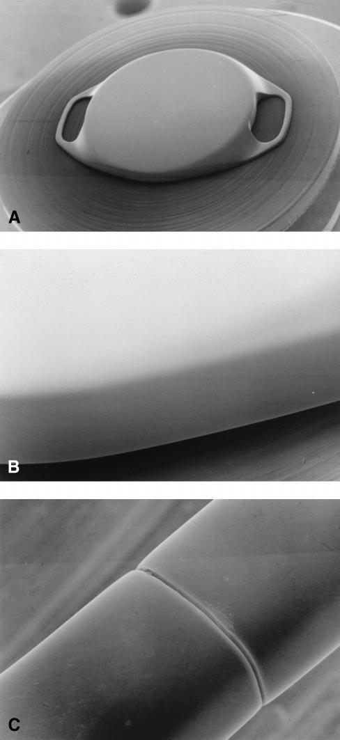 Kohnen et al SEM Characteristics of Phakic Intraocular Lenses Figure 3. SEMs of the Ophtec Artisan IOL with a 6.0-mm optic.