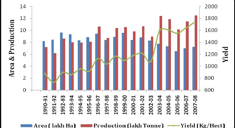 India harvested a bumper crop from 1998 to 2001, with an average yield of 1174.25 kg/ha.