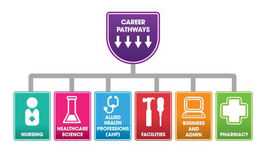 NHS Lothian has a range of career development pathways covering 6 core job families.
