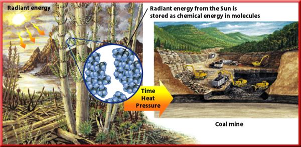 3 Sources of Energy Fossil Fuels Coal was formed by similar