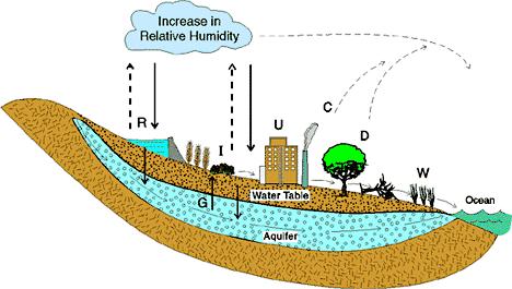 Human Activity and the Water cycle read the information below. Large scale human manipulation of water has significantly altered global patterns of streamflow.