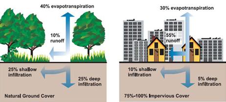 Surface runoff slowed infiltration Interception transpiration n o i t a t s De e r fo Changing Land use Urbanisation