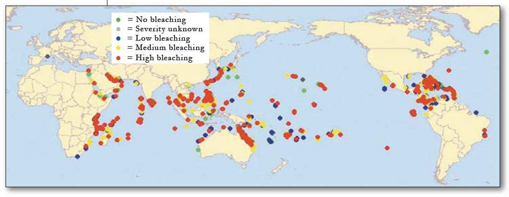 Coral bleaching severity (Figure from WFC, 2007) Coral reefs provide a
