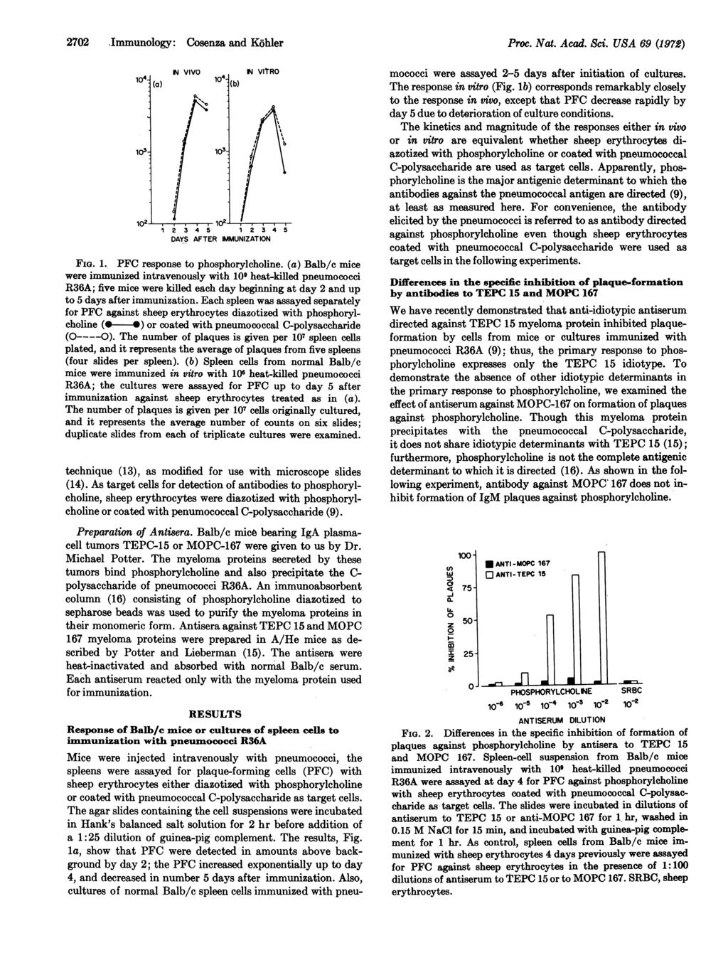 2702 -Immunology: Cosenza and Kohier IN VIVO IN VITRO 1 2 3 4 5 1 2 3 4 DAYS AFTER IMMUNIZATION FIG. 1. PFC response to phosphorylcholine.