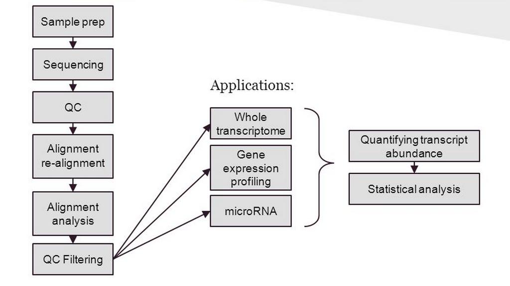 TRANSCRIPT COUNTING The most common application of RNA-seq is to estimate gene and transcript expression.