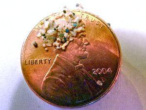Up to 1.1 million plastic particles per square kilometer were found in Lake Ontario. Microbeads are about the same size as fish eggs and can be mistaken by aquatic organisms as food.