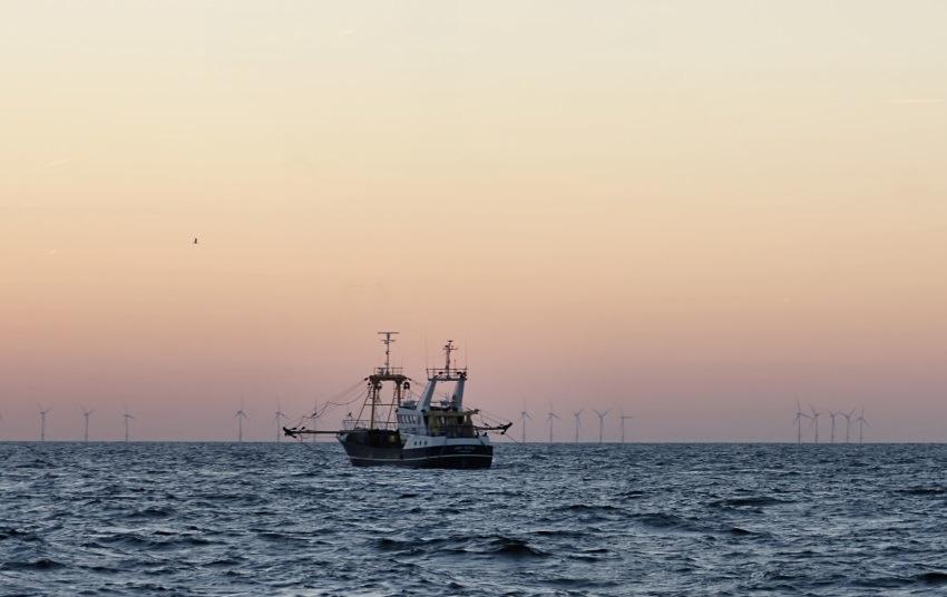 Exclusion of fishing activities fishing vessels (mostly trawlers) are virtually everywhere, except in the wind farms protection of soft bottoms against fishing activities inside the wind farms is
