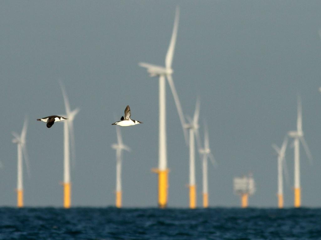 Impact of operational wind farms on birds Wind farms have three possible impacts on birds (Exo et al., 2003; Desholm et al., 2006; Drewitt & Langston, 2006): 1.
