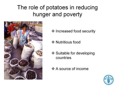[slide 5] What is the role of the potato in relation to hunger and poverty?