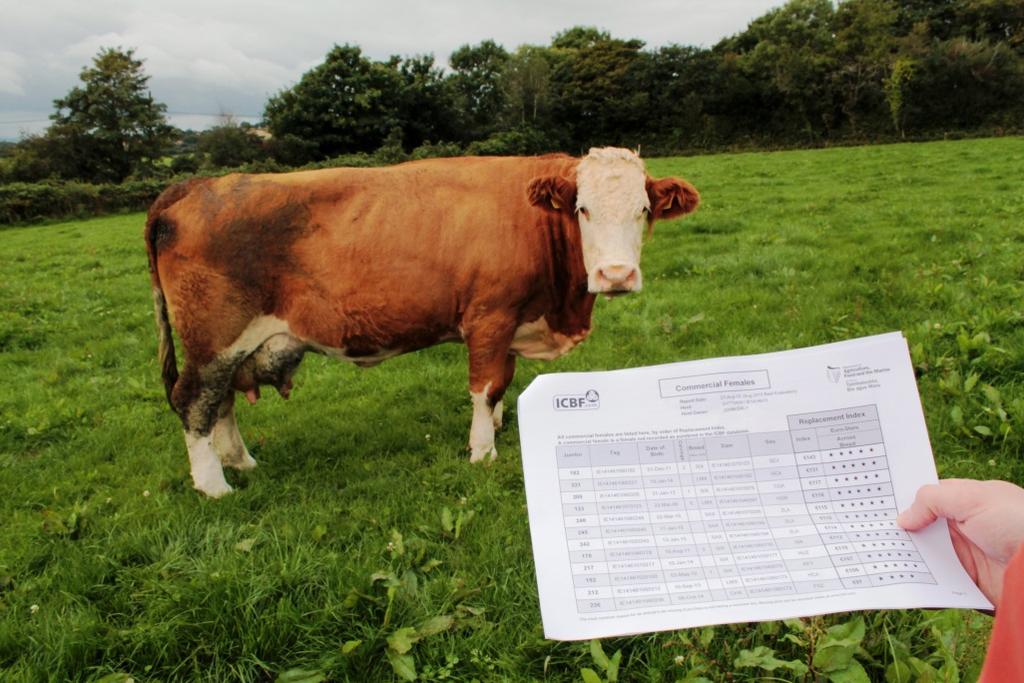 Key Actions; Data Recording Farmers