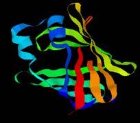 protein structures can be predicted The structure