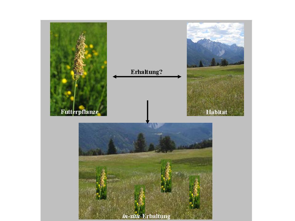 Example: Conserving the Genetic Diversity of Forage Plants Switzerland has a high diversity of