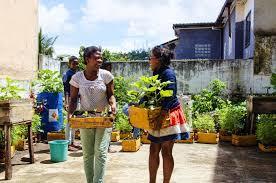 ANTANANARIVO: Urban Agriculture Program in Antananarivo Antananarivo promoted the installation of micro-vegetable gardens in