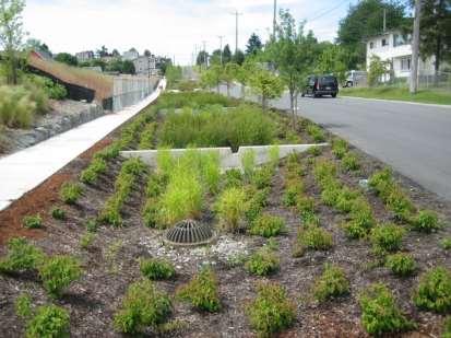 Stormwater as a Source for
