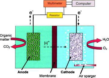 Microbial fuel cell designs Effluent Multimeter e - e - Air