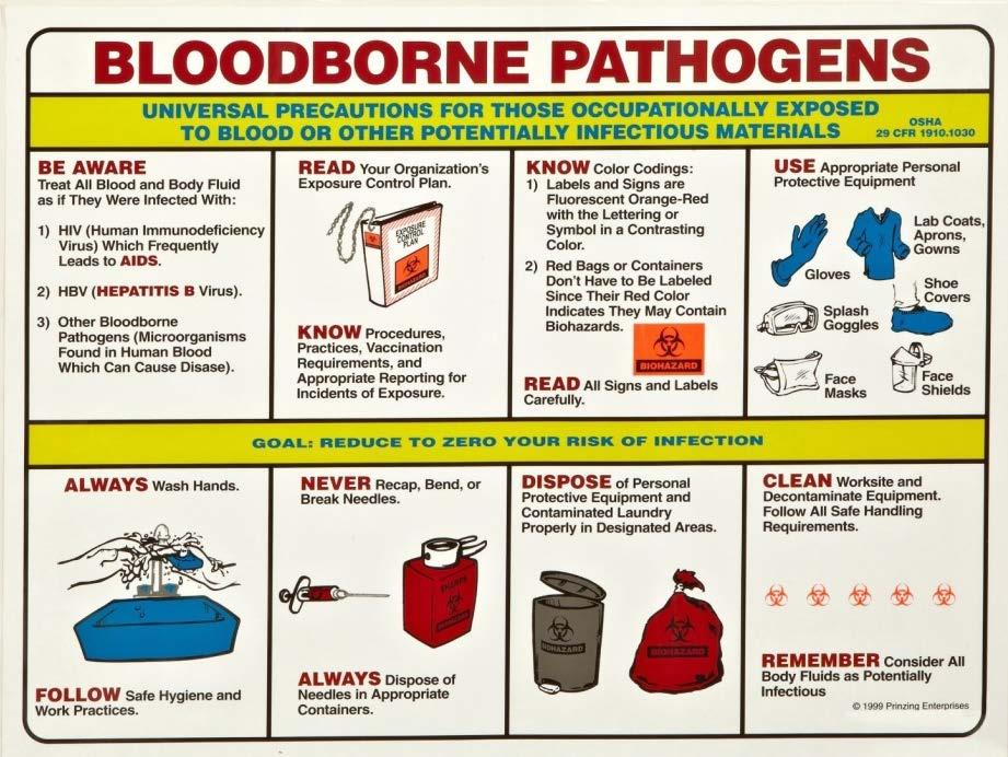 Bloodborne Pathogen Program What is the Bloodborne Pathogen Program (BBP)? This program covers employees who have the potential to be exposed to human blood or certain body fluids.