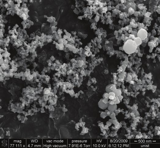 2. EXPERIMENTS 2.1. Preparation of the nanofluids Graphene oxide and SiC nanoparticles were coated on the test section in this study.